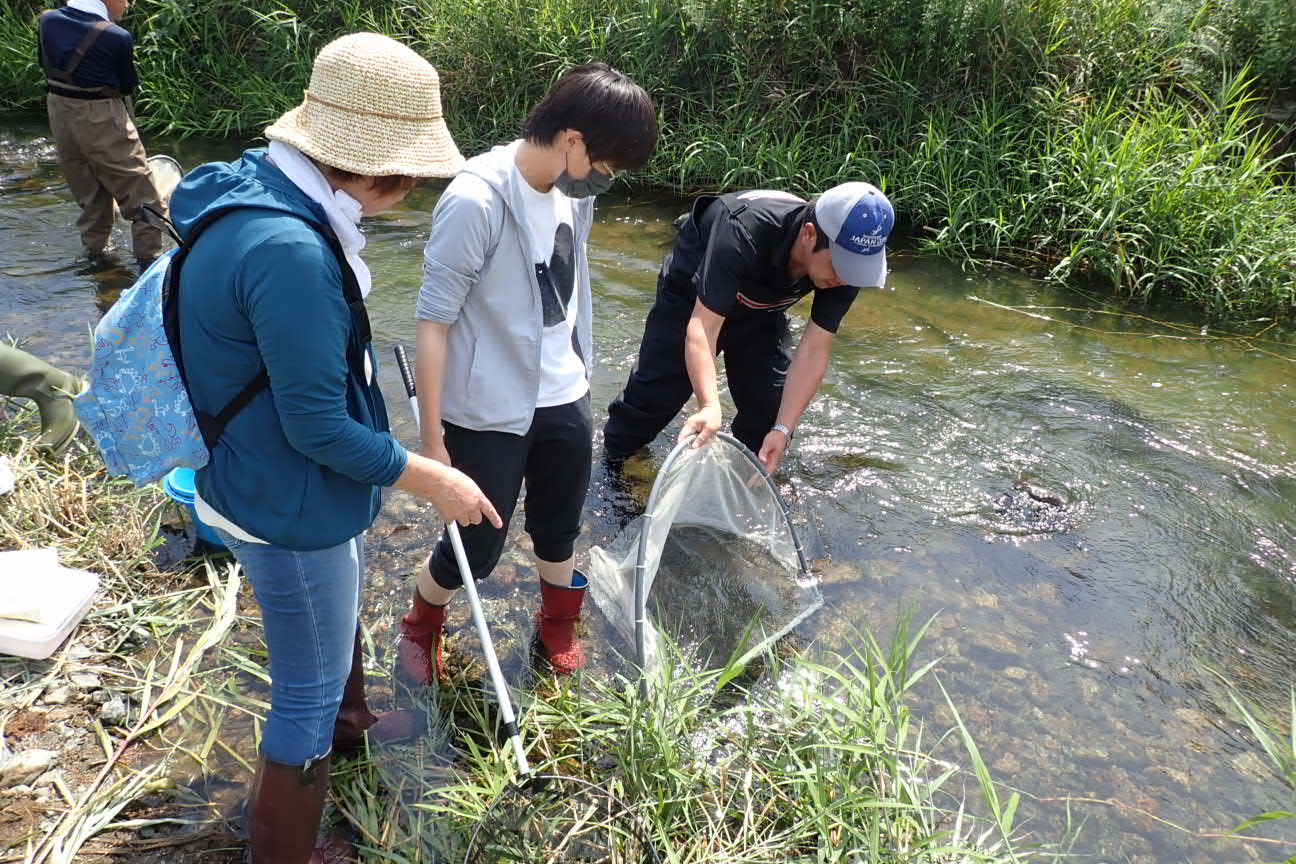 川の生き物観察会2